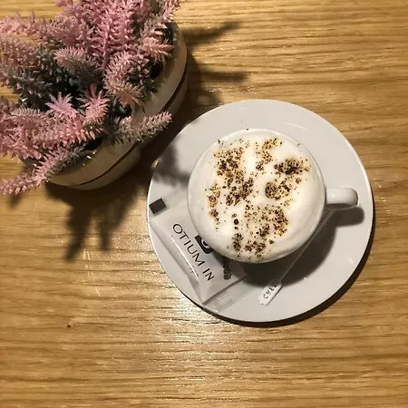 招待所 Plaza La - Night And 斯雷姆斯卡米特罗维察