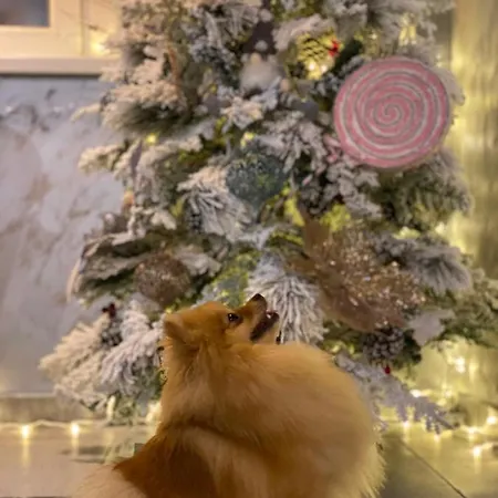 Plaza La - Night And 招待所