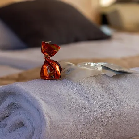 招待所 Plaza La - Night And 斯雷姆斯卡米特罗维察