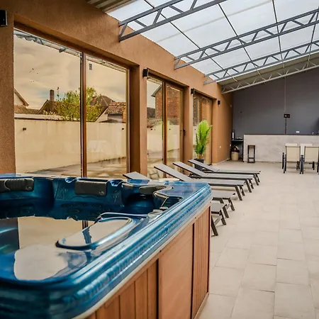 招待所 Plaza La - Night And 斯雷姆斯卡米特罗维察